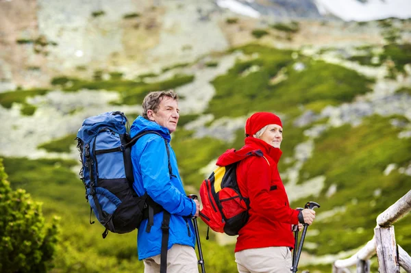 Tourist couple hiking at mountains — Stock Photo, Image