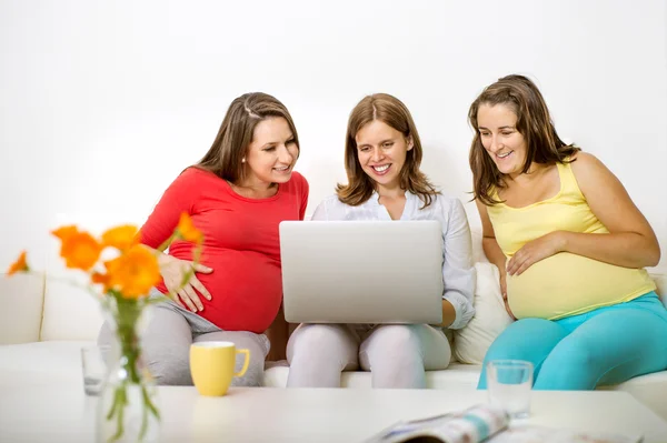 Gravida kvinnor med laptop — Stockfoto