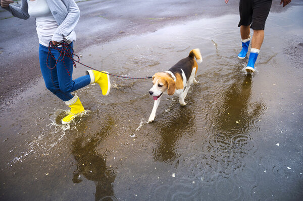 Couple running with dog