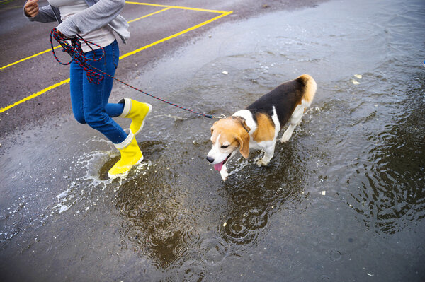 Woman running with dog