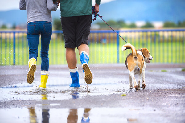 Couple running with dog