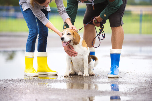 Couple petting their dog