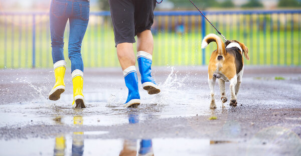 Couple running with dog