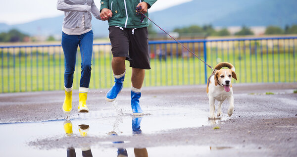 Couple running with dog
