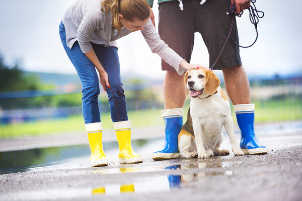 Couple petting their dog