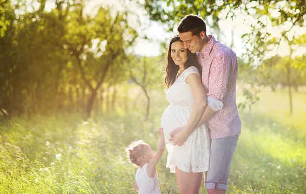 Familia embarazada divirtiéndose — Foto de Stock