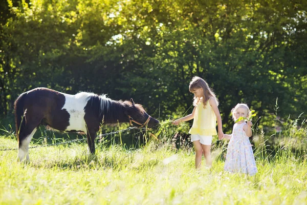 Sisters feeding pony — Stock Photo, Image