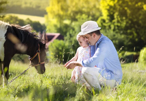 Отец и дочь кормят пони — стоковое фото