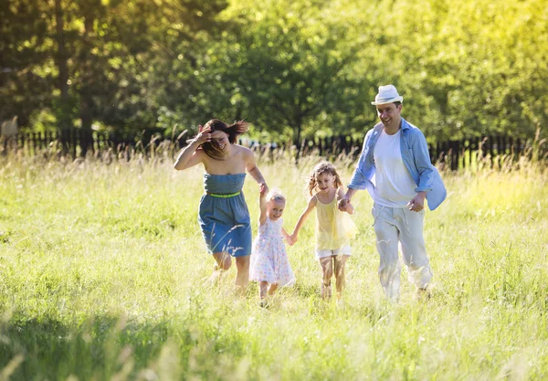 Familie uitgevoerd op zonnige weide — Stockfoto