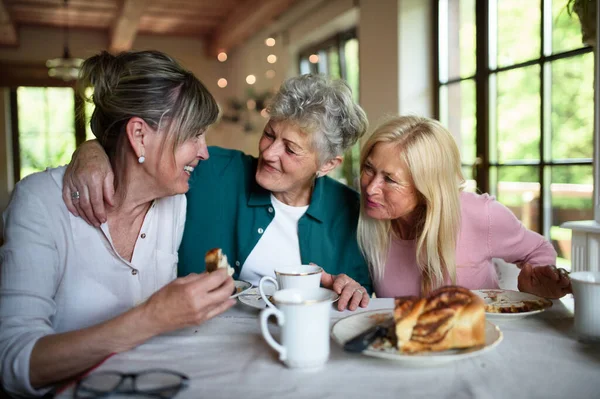 Felices amigos mayores tomando café y pastel y hablando en casa. — Foto de Stock