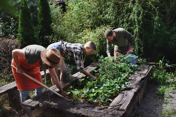 Contenti giovani e vecchi agricoltori che lavorano con attrezzi da giardino all'aperto presso la fattoria comunitaria. — Foto Stock