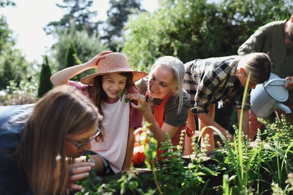 Jóvenes y viejos agricultores felices o jardineros que trabajan al aire libre en la granja comunitaria. — Foto de Stock
