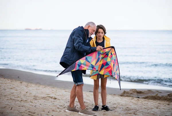 Senior man and his preteen granddaughter preparing kite for flying on sandy beach. — Stock fotografie