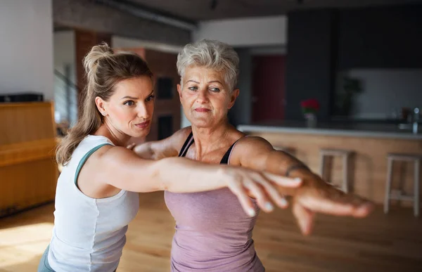 Active senior woman in sportsclothes exercising with her adult daughter indoors at home. — Stock Photo, Image
