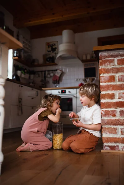 Evde iki küçük çocuk yerde mısır gevreği yiyor.. — Stok fotoğraf