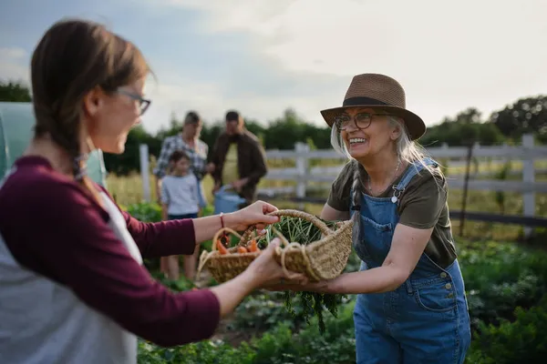 Happy senior farmer giving basket with homegrown vegetables to woman outdoors at community farm. — Stock Photo, Image