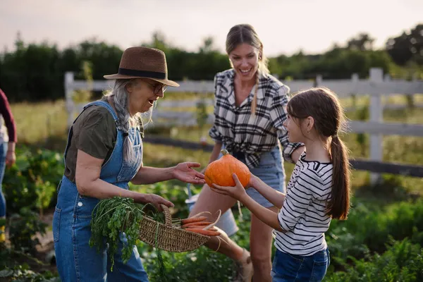 Happy little farmer girl showing organic pumpkin to grandmother outdoors at garden. — Stock Photo, Image