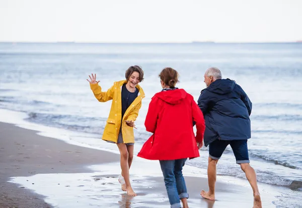 Senior paar und ihre preteen enkeltochter rennen und haben spaß am sandstrand. — Stockfoto