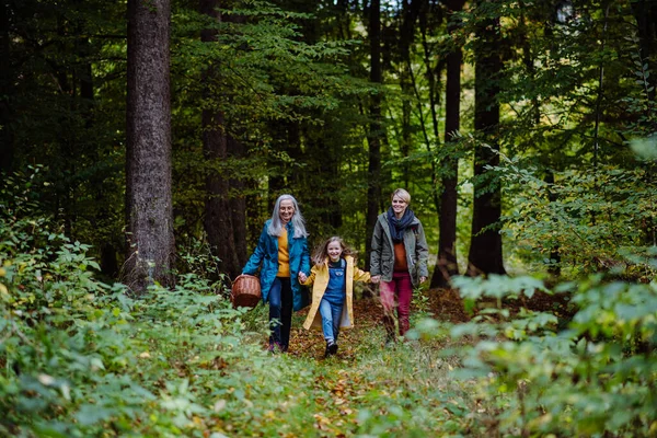 Liten flicka med mor och mormor som håller hand på promenadvägar i skogen. — Stockfoto