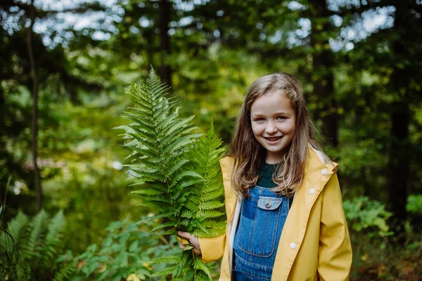 幸せな女の子保持シダと見てカメラ屋外で森の中. — ストック写真