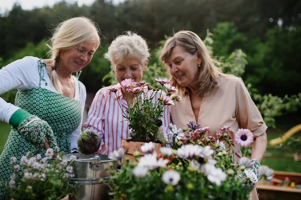 Boldog idősebb nők barátok ültetés virágok együtt szabadban, közösségi kert koncepció. — Stock Fotó