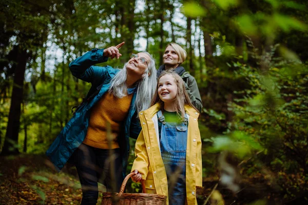 Malá dívka s matkou a babičkou vzhlíží při procházce po lese. — Stock fotografie