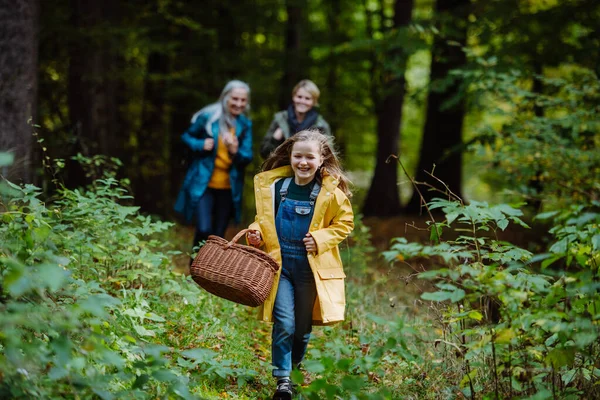 Lycklig liten flicka med korg som springer under promenaden med mor och mormor utomhus i skogen — Stockfoto