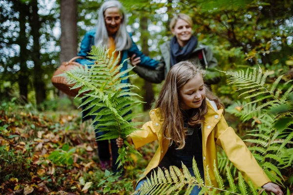 Felice bambina che tiene le foglie di felce durante la passeggiata autunnale con la madre e la nonna nella foresta — Foto Stock