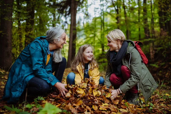 Šťastná holčička s matkou a babičkou baví s listy během podzimní procházky v lese — Stock fotografie