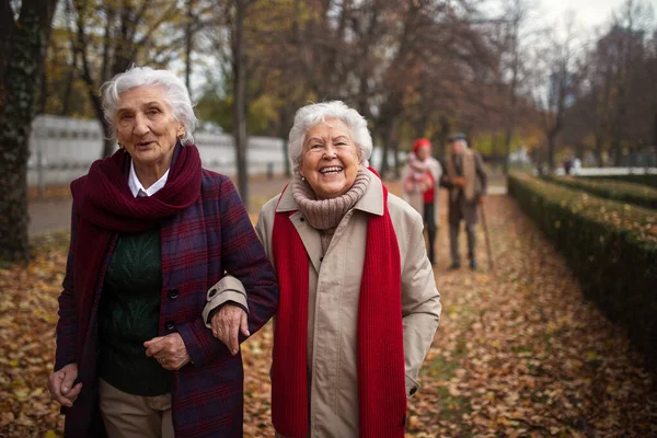 Счастливые старшие подруги на прогулке в городском парке осенью, глядя в камеру. — стоковое фото