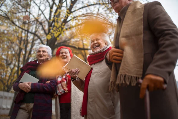 Vista ad angolo basso di gruppo di amici anziani felici a piedi all'aperto nel parco della città in autunno, ridendo. — Foto Stock