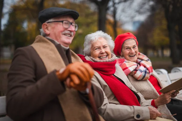 Grup de prieteni seniori fericiți care stau pe bancă în parcul orașului toamna, uitându-se la cameră. — Fotografie, imagine de stoc