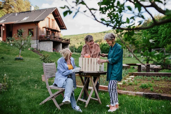 Szczęśliwy starszy kobiety przyjaciele renowacja drewniana skrzynia na zewnątrz w ogrodzie. — Zdjęcie stockowe