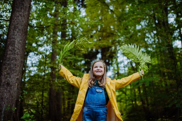 Laag uitzicht op gelukkig klein meisje houden varens bladeren buiten in het bos. — Stockfoto