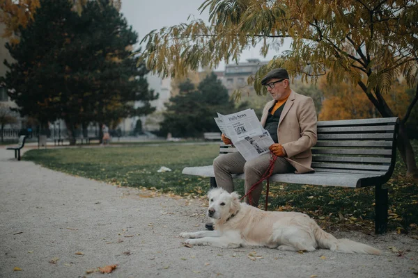 Homem sênior feliz sentado no banco e lendo jornal durante a caminhada do cão ao ar livre no parque na cidade. — Fotografia de Stock