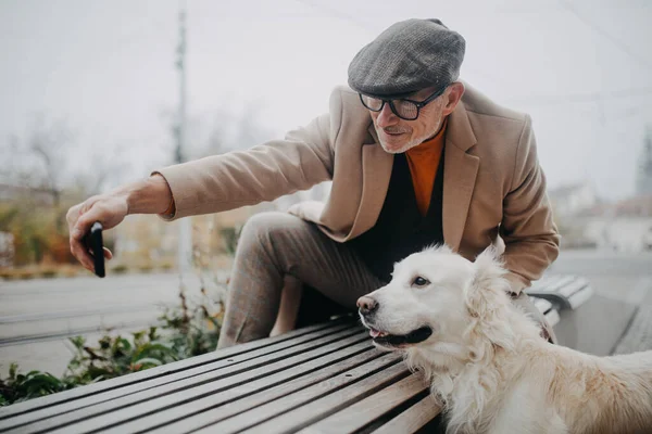 Щасливий старший чоловік сидить на лавці і приймає селфі під час собаки гуляє на відкритому повітрі в місті . — стокове фото