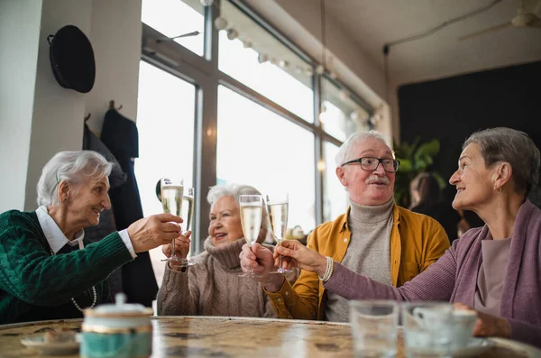 Happy senior friends sitting indoors in cafe clinking champagne glasses and celebrating — Fotografia de Stock