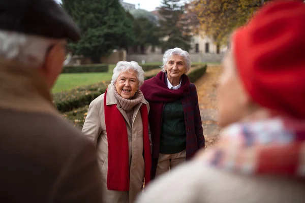 Skupina šťastných starších přátel na procházce venku v městském parku na podzim, povídání a smích. — Stock fotografie