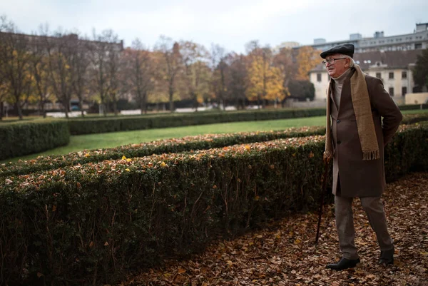 Old elegant man with walking stick on walk in park on autumn day — Stock Fotó