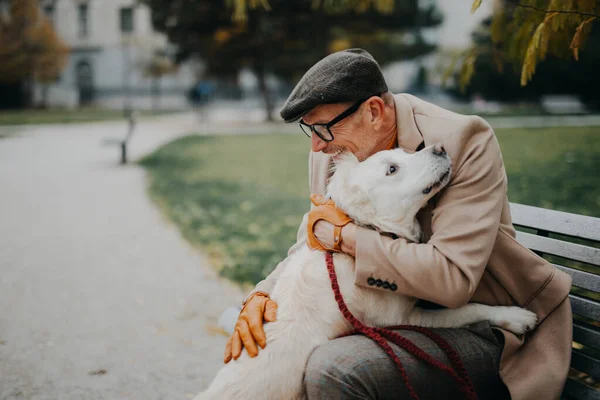 Feliz hombre mayor sentado en el banco y abrazando a su perro al aire libre en el parque de la ciudad. — Foto de Stock