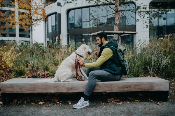 Side view of young man sitting on bench and training his dog outdoors in town. — Stock Photo, Image
