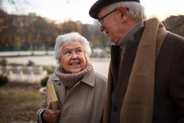 Felices amigos mayores a pie al aire libre en el parque de la ciudad en otoño, hablando. —  Fotos de Stock