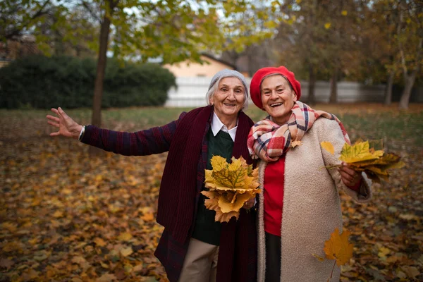 Felice anziani amici femminili a piedi all'aperto nel parco in autunno, guardando la fotocamera. — Foto Stock