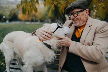 Mutlu kıdemli adam bankta oturuyor ve parkta köpeğini kucaklıyor..