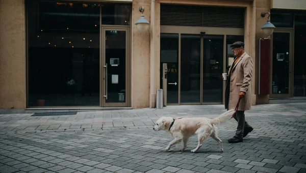 Vista lateral de hombre mayor elegante con llevar café paseando a su perro al aire libre en la ciudad en invierno. — Foto de Stock