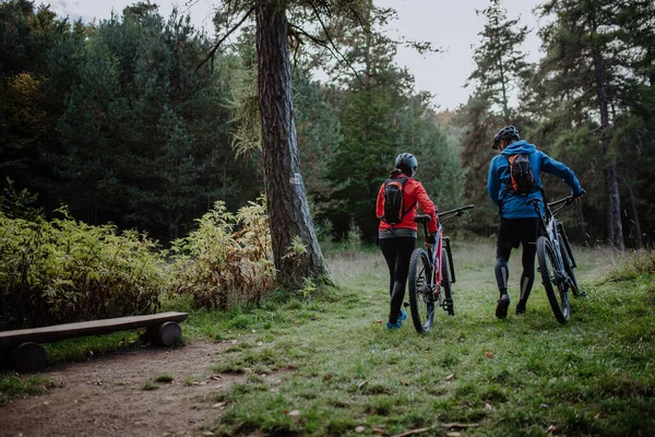 Vista trasera de la pareja de ciclistas mayores caminando y empujando bicicletas eléctricas al aire libre en el bosque en el día de otoño. —  Fotos de Stock