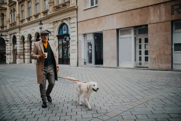 Homem sênior elegante com tomar café andando seu cão ao ar livre na cidade no inverno. — Fotografia de Stock