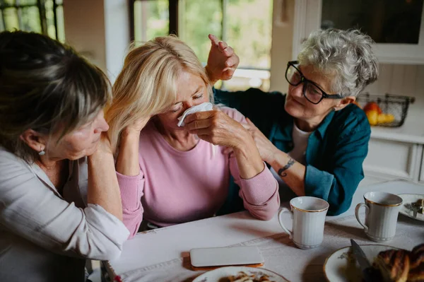 Nő idősebb barátok konzultál és támogatja a szomorú barát otthon. — Stock Fotó