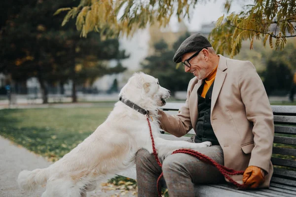 Happy senior man sitting on bench and embracing his dog outdoors in park in city. — Stock Photo, Image