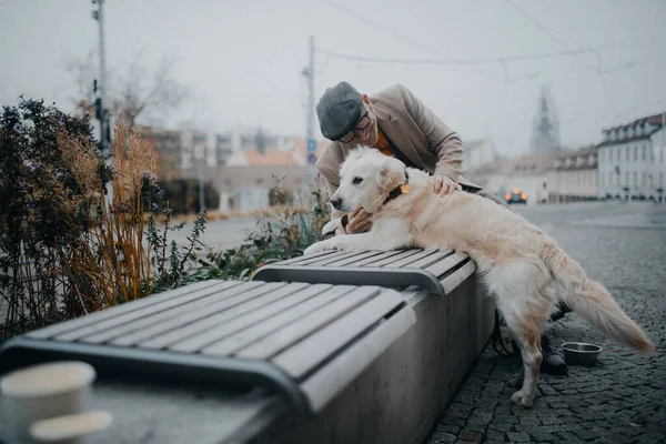 Homem sênior feliz sentado no banco e descansando durante a caminhada do cão ao ar livre na cidade. — Fotografia de Stock